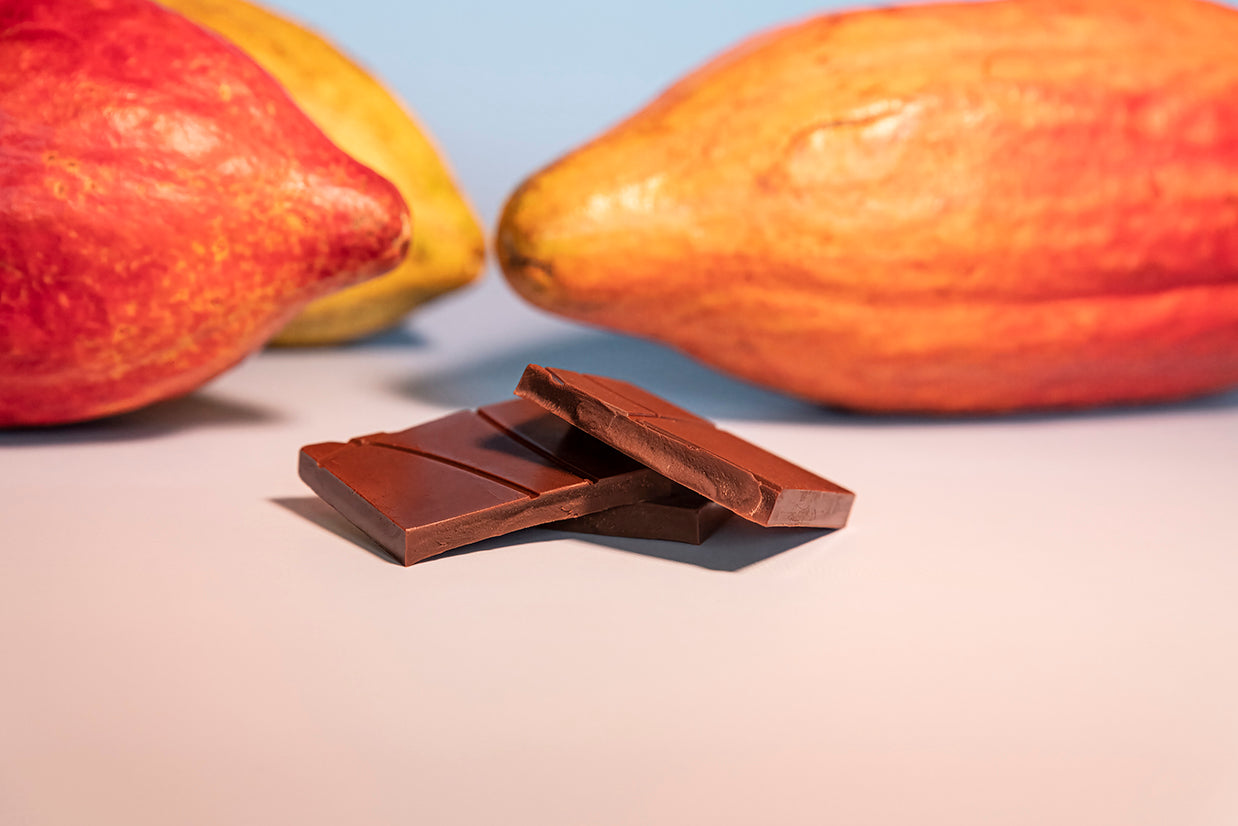 Chocolate bars with cacao pods on a light background