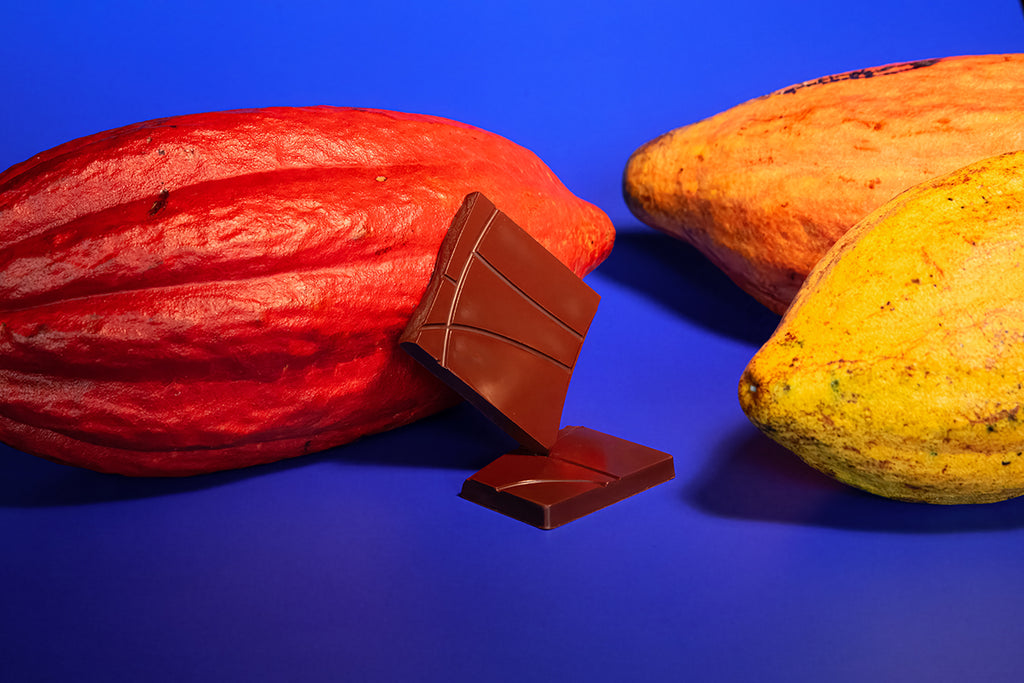 Chocolate bar pieces with cacao pods on a blue background