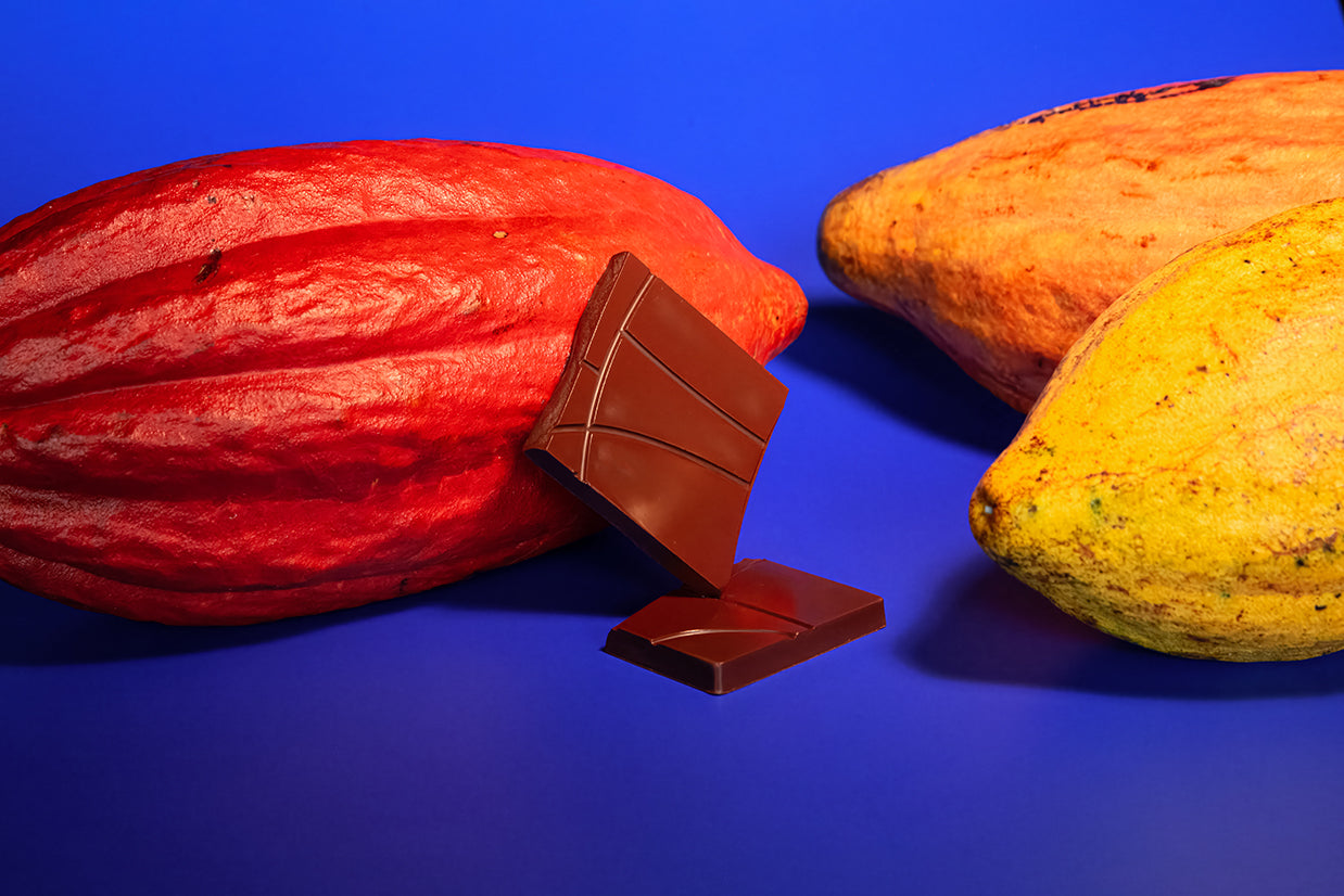 Chocolate bar pieces with cacao pods on a blue background