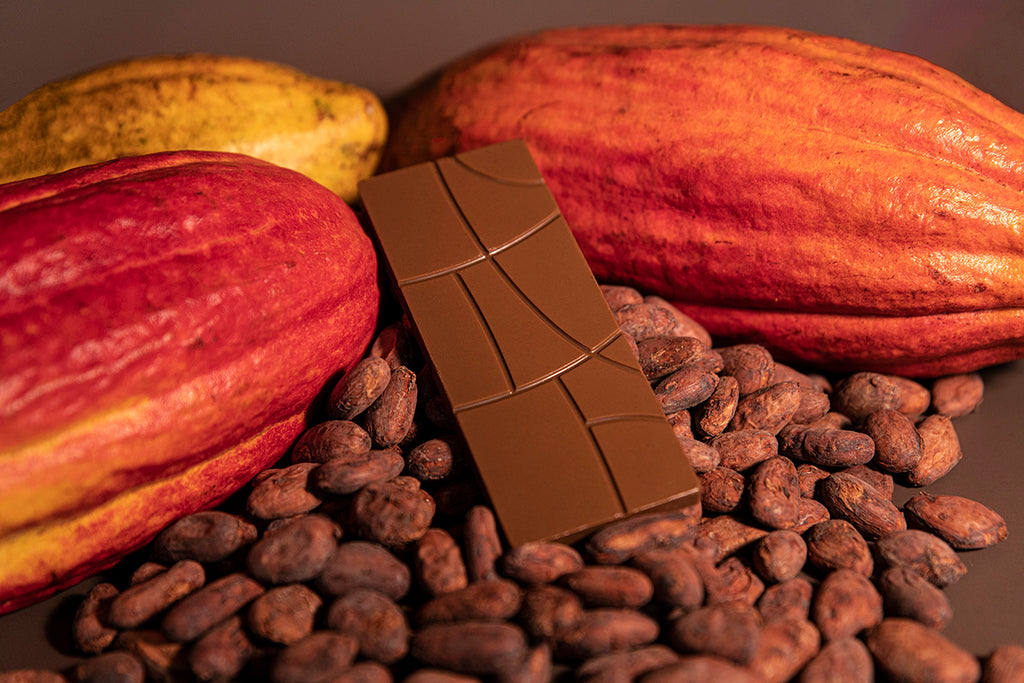 Dark milk chocolate bar sitting atop a pile of roasted cocoa beans with a few pods in the background